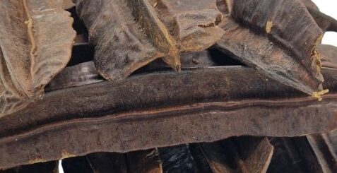 Synéchie Traitement Naturel de la Synéchie de l'Utérus