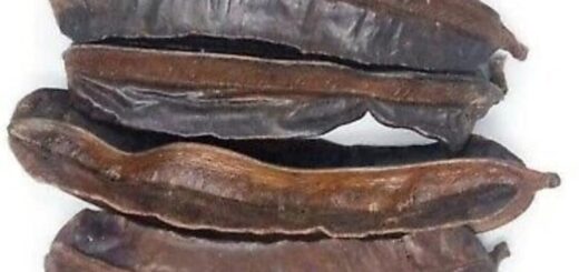 Comment Utiliser 4 Côtés Pour éliminer Fibrome