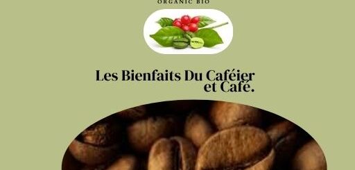 Les Bienfaits Du Caféier et Café.