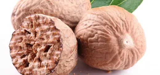 Noix de Muscade Contre l'éjaculation Précoce