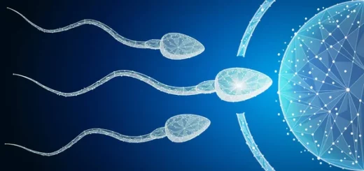 Remède naturel Infertilité Masculine