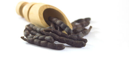 VERTUS DE XYLOPIA AETHIOPICA