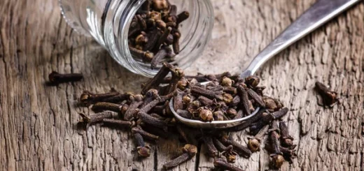 Tomber Enceinte avec le Clou de Girofle