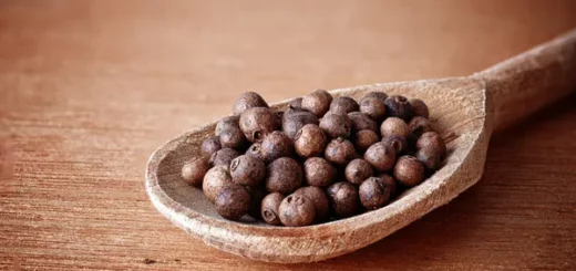 POIVRE DE LA JAMAIQUE