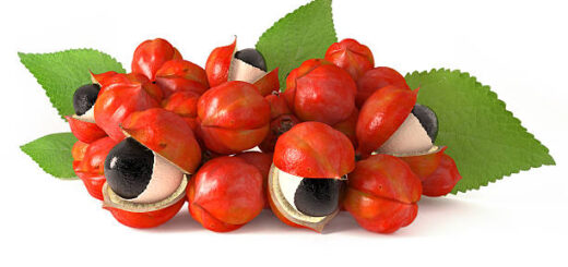 GUARANA