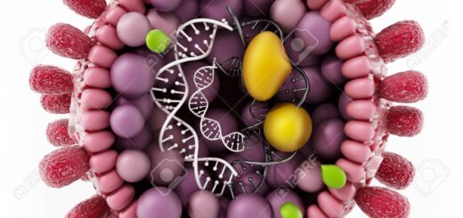 Hépatite B Tout Savoir Guérir grâce aux Plantes