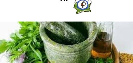 Médecine Africaine Côte d'Ivoire