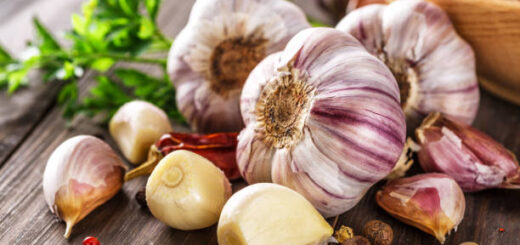 Remède et les parasites intestinaux