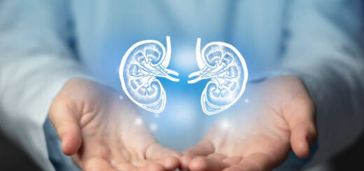 Syndrome Néphrotique Traitement Naturel