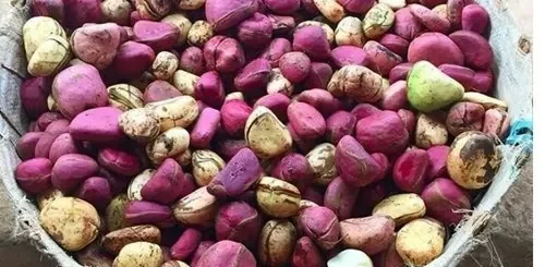 Allonger le pénis-08-Exercice longueur 4