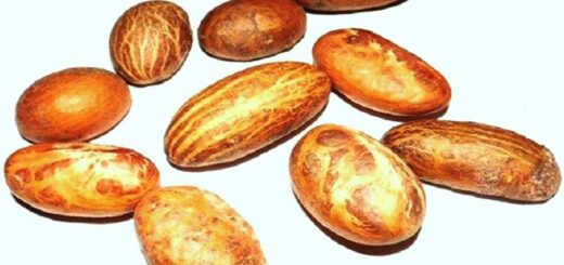 Allonger le pénis. 06-Exercice longueur 2