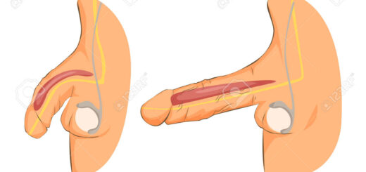 Faire grossir le pénis.27-Exercice grosseur 3.