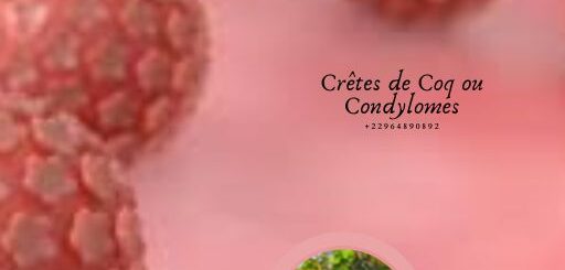 Crêtes de Coq ou Condylomes
