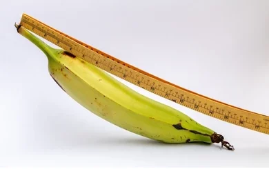 Tous les exercices du prg.05-Exercice longueur 1