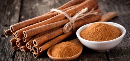 Propriétés et bienfaits de la cannelle