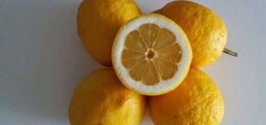 Citron et Diabète : Le Jus de Citron et le Diabétique