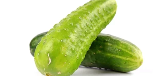 Faire grossir le pénis.32-Exercice grosseur 8.