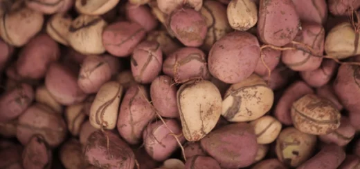 Comment Agrandir le Pénis? Techniques Pour Agrandir le Pénis