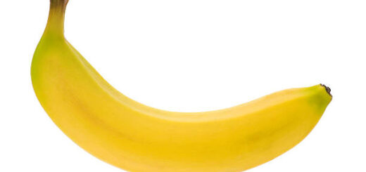 Tous les exercices du prg.13-Exercice longueur 9.