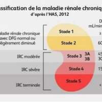 Comment Guérir Insuffisance Rénale