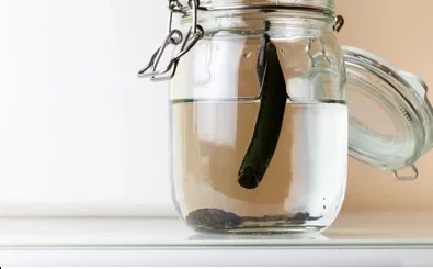 Comment Agrandir le Pénis Avec L'Huile de Sangsue?