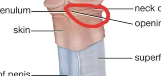Faire grossir le pénis.29-Exercice grosseur 5