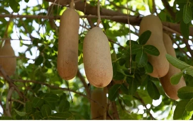 Tous les exercices du prg.10-Exercice longueur 6.