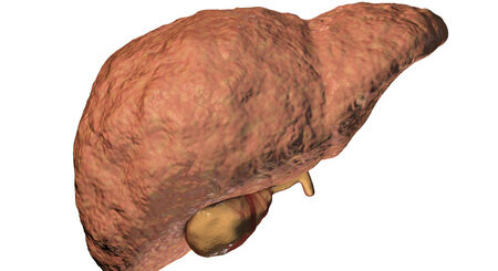 Hépatite B : les approches complémentaires