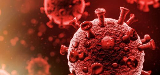 Plantes Pour Détruire le Virus du SIDA ( Togo, Benin, Côte d'Ivoire)