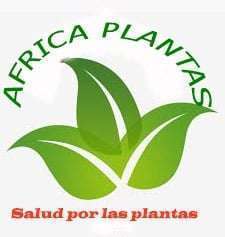 Les plantes pour augmenter le désire sexuel
