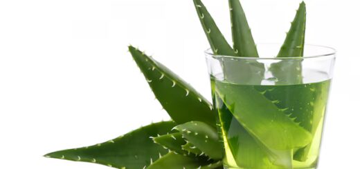 Aloe Vera : Recette Naturelle Pour Agrandir le Pénis en 7 Jours