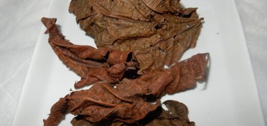 Bienfaits du Mélange Clou de Girofle et Feuille de Djeka