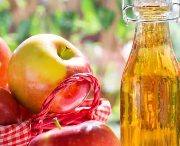 Vinaigre de Cidre Traditionnel : Bienfaits et Maladies Soignées