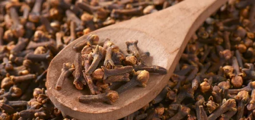 Activité Sexuelle et Clou de Girofle