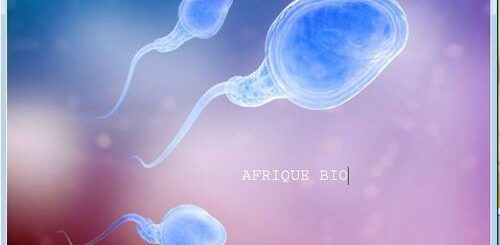 Qu'est-ce qu'une Spermatocèle