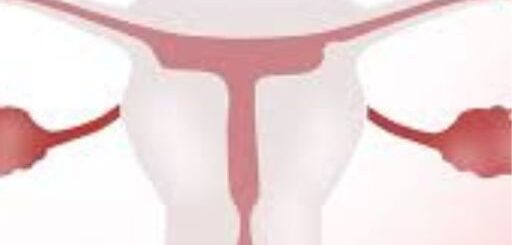 Trompes Bouchées : Comment Déboucher les Trompes Naturellement