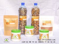Traitement Naturel Du Vih/Sida En Afrique