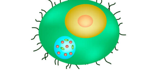 Chlamydia Symptômes Causes Traitements Naturel et Prévention