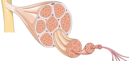 Soigner la Dystrophies Musculaire: Vaincre la dystrophie musculaire