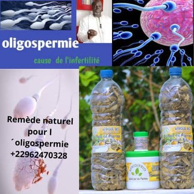 Comment traiter l’oligospermie? remède 100 % naturel