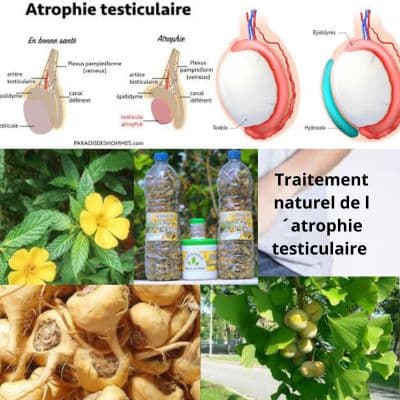 Atrophie testiculaire: Traitement 100 % Naturel