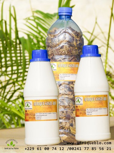 Aloe Vera Pour Développer Pénis