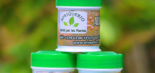 Programme De Massage Pénis