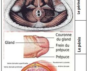Définition Cause Traitement Naturel EJP