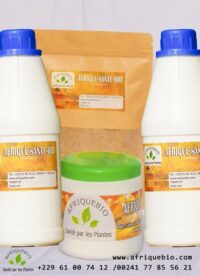 Traitement Naturel Pour Soigner La Babésiose