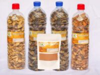 Tisane 620- Plante Naturelle Pour Soigner Fibrome et Myome