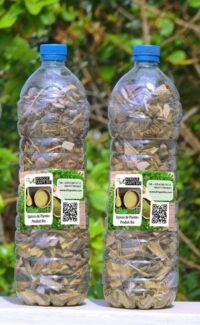 Hydrosalpinx Salpingite Infection des trompes soin naturel
