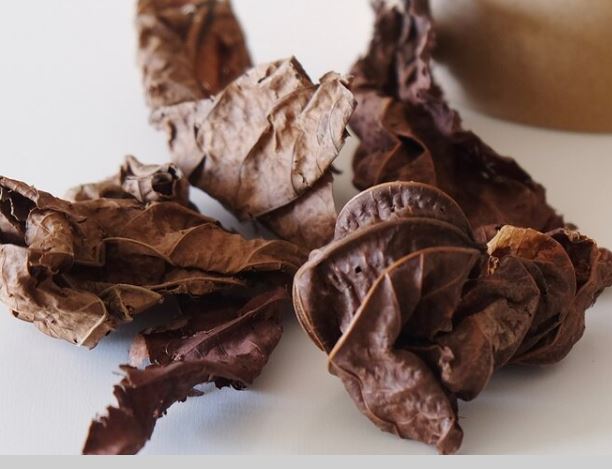 Tisane 596: Fibrome Traitement Naturel Pour Fibrome Utérin
