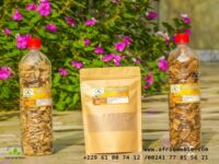 Tisane 488: Un Remède et des Recettes pour Tomber Enceinte