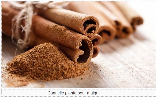 Tisane 591: Lithiase vésiculaire Traitement Naturel calculs biliaires